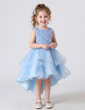 Sleeveless Sequin Trailing Gown