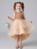 Sleeveless Sequin Trailing Gown