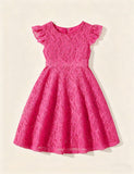 Elegant Solid Lace Dress