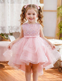 Sleeveless Sequin Trailing Gown