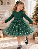 Colorful Butterfly Tulle Printed Long Sleeve Dress