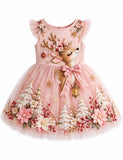 Christmas Reindeer Appliqué Floral Bow Tulle Dress
