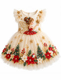 Christmas Magic Fairy Tulle Party Dress
