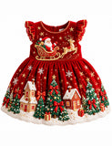 Ornate Velvet Christmas Santa Cluas Dress