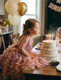 Fluffy Embroidered Cake Tulle Dress