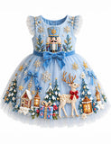 Christmas Nutcracker Embroidered Tulle Party Dress