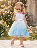 Sleeveless Gradient Star Tulle Princess Dress
