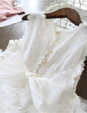 Fluffy Embroidered Cake Tulle Dress