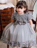 Burgundy Sparkle Puff Sleeve Tulle Ball Gown