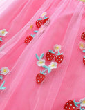 Strawberry Embroidered Tulle Dress