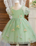 Bubble Sleeve Flower Embroidery Tulle Party Dress