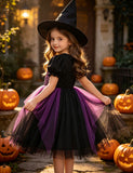 Halloween Spider Web Embroidered Tulle Dress