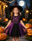 Halloween Spider Web Embroidered Tulle Dress
