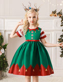 Christmas Print Party Dress