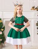 Christmas Print Party Dress