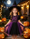 Halloween Spider Web Embroidered Tulle Dress