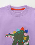 Dinosaur Applique Sweatshirt