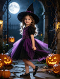 Halloween Spider Web Embroidered Tulle Dress