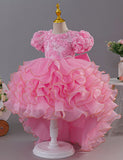 Three-dimensional Rose Bubble Sleeve Tulle Dress