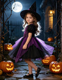 Halloween Spider Web Embroidered Tulle Dress