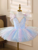 Colorful Ballet Tutu Dress