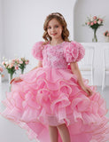Three-dimensional Rose Bubble Sleeve Tulle Dress