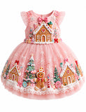 Christmas Gingerbread House Embroidery Tulle Dress