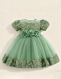 Burgundy Sparkle Puff Sleeve Tulle Ball Gown