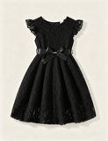 Elegant Solid Lace Dress