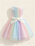 Rainbow Skirt Puffy Dress