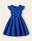 Elegant Solid Lace Dress