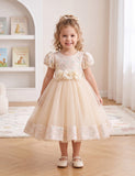 Burgundy Sparkle Puff Sleeve Tulle Ball Gown