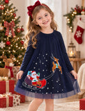 Christmas Santa Sled Embroidered Tulle Dress