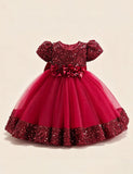 Burgundy Sparkle Puff Sleeve Tulle Ball Gown