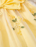 Flower Embroidery Tulle Princess Dress