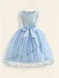 Sequin Bow Multi-layer TullePuff Dress