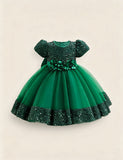 Burgundy Sparkle Puff Sleeve Tulle Ball Gown