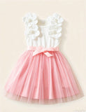Sleeveless 3D Flower Bow Princess Dress