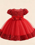 Burgundy Sparkle Puff Sleeve Tulle Ball Gown