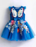 Floral Butterfly Applique Tulle Party Dress