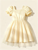 Bow Decorative Splicing Tulle Dress