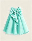 Big Bow Tulle Princess Dress