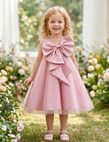 Big Bow Tulle Princess Dress