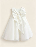Big Bow Tulle Princess Dress