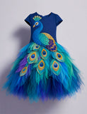 Multi Peacock Tulle Party Dress